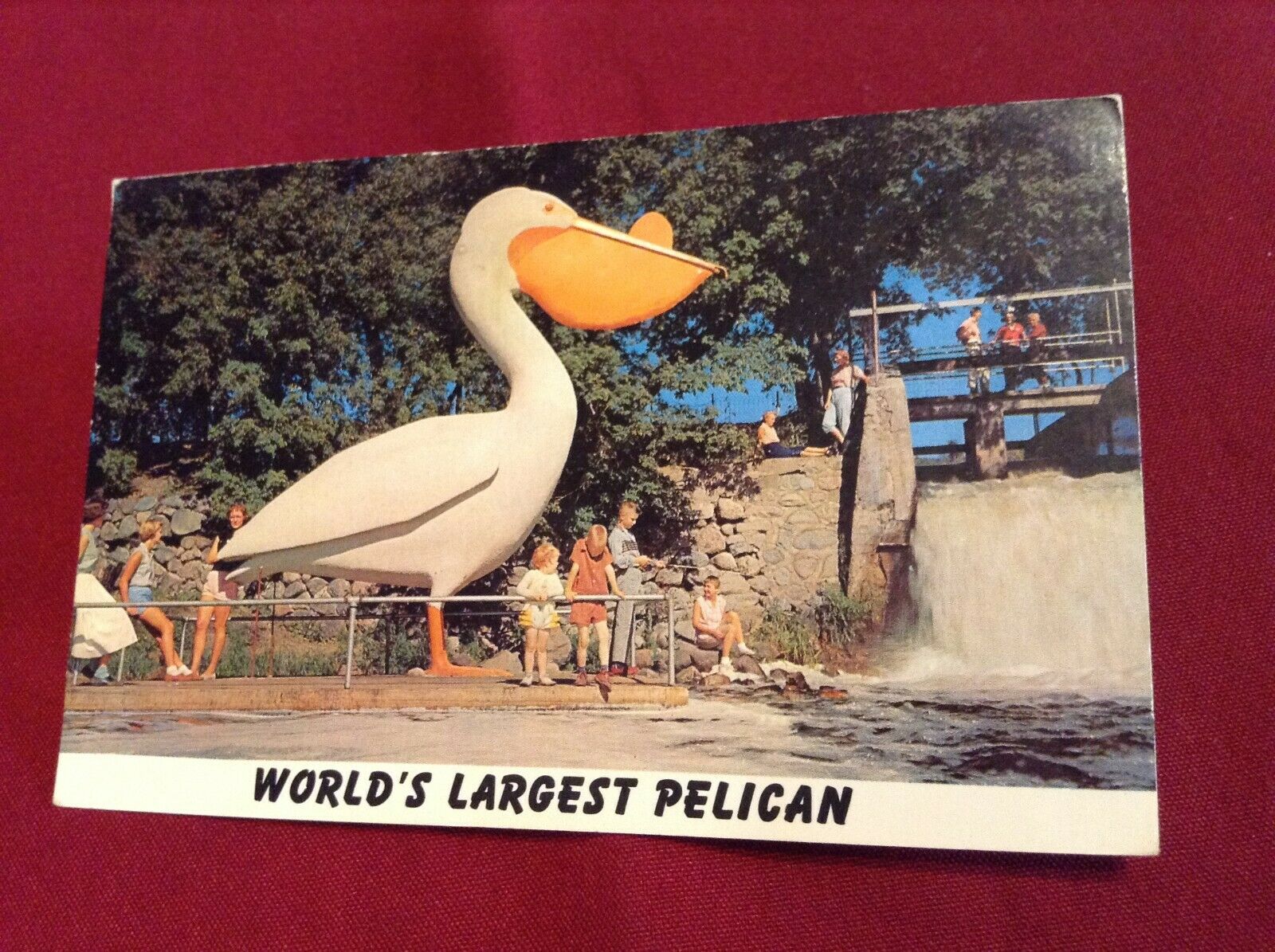 Pelican Rapids Minnesota World's Largest Pelican Vintage Post Card Posted 1972